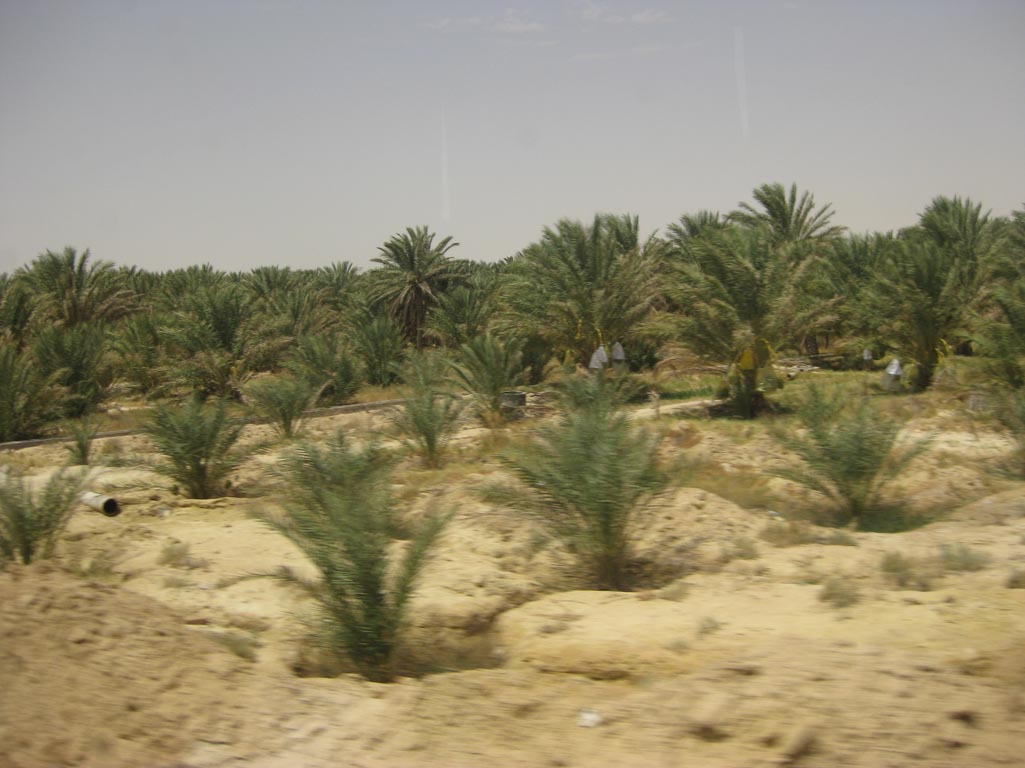 i/Family/Djerba/Safari - Djerba 2009 164.jpg